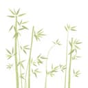 Bamboo Casing